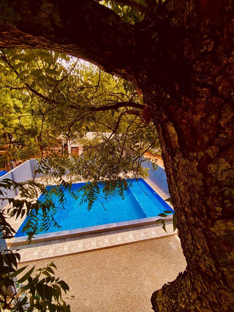 Coffee House Dambulla Hotel Екстериор снимка